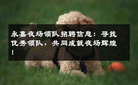 永嘉夜场领队招聘信息：寻找优秀领队，共同成就夜场辉煌！