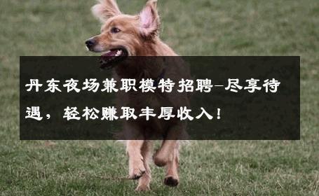 丹东夜场兼职模特招聘-尽享待遇，轻松赚取丰厚收入！
