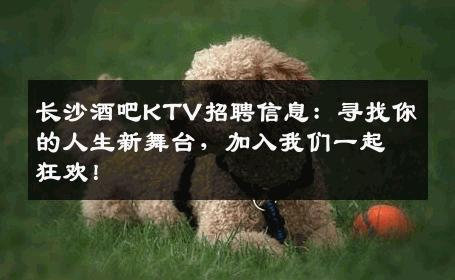 长沙酒吧KTV招聘信息：寻找你的人生新舞台，加入我们一起狂欢！