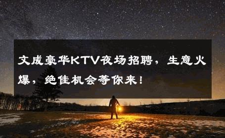 文成豪华KTV夜场招聘，生意火爆，绝佳机会等你来！