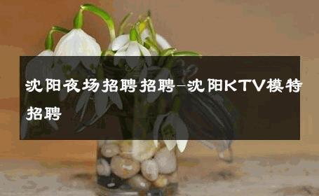 沈阳夜场招聘招聘-沈阳KTV模特招聘