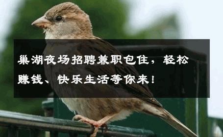 巢湖夜场招聘兼职包住，轻松赚钱、快乐生活等你来！