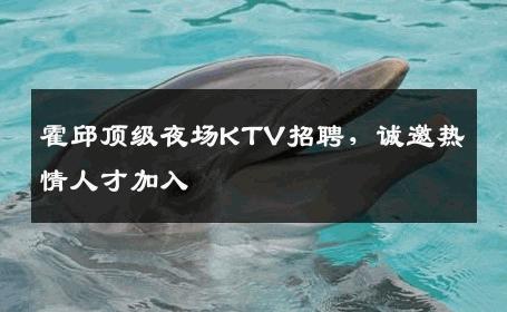 霍邱顶级夜场KTV招聘，诚邀热情人才加入