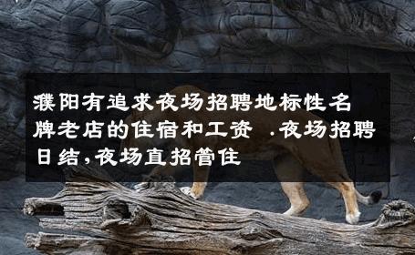 濮阳有追求夜场招聘地标性名牌老店的住宿和工资 .夜场招聘日结,夜场直招管住