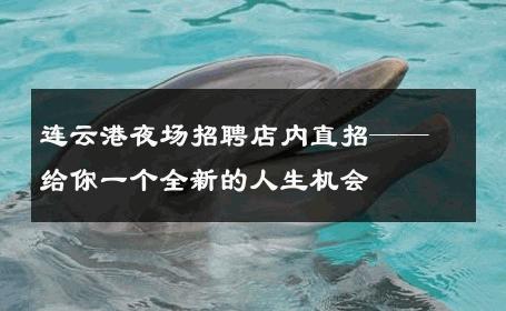 连云港夜场招聘店内直招——给你一个全新的人生机会