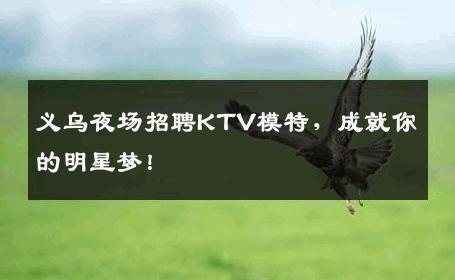 义乌夜场招聘KTV模特，成就你的明星梦！