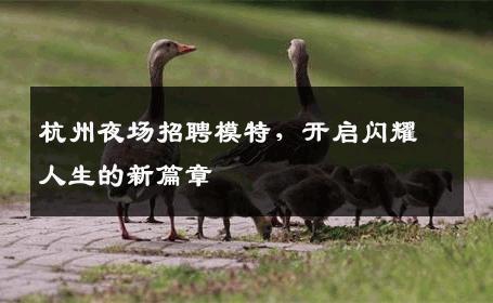 杭州夜场招聘模特，开启闪耀人生的新篇章