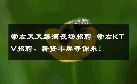 崇左天天爆满夜场招聘-崇左KTV招聘，薪资丰厚等你来！