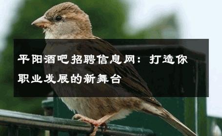 平阳酒吧招聘信息网：打造你职业发展的新舞台