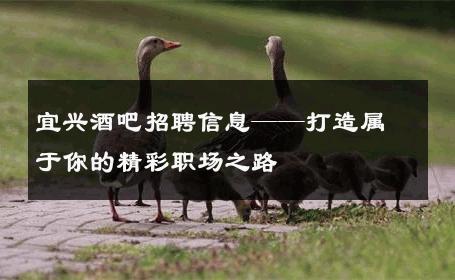 宜兴酒吧招聘信息——打造属于你的精彩职场之路
