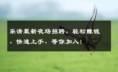乐清最新夜场招聘，轻松赚钱，快速上手，等你加入！
