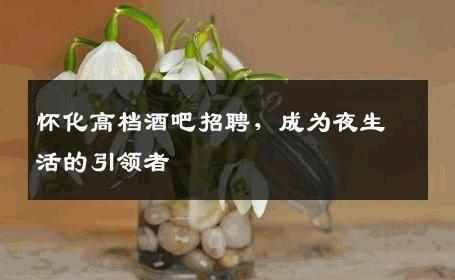 怀化高档酒吧招聘，成为夜生活的引领者