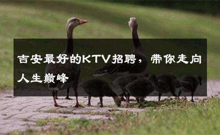 吉安最好的KTV招聘，带你走向人生巅峰