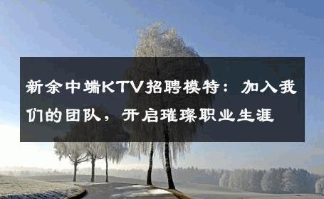 新余中端KTV招聘模特：加入我们的团队，开启璀璨职业生涯