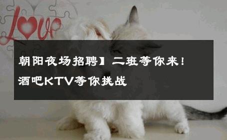 朝阳夜场招聘】二班等你来！酒吧KTV等你挑战