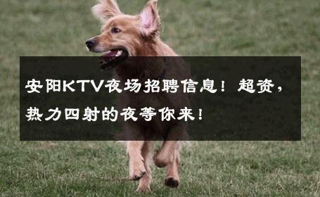 安阳KTV夜场招聘信息！超资，热力四射的夜等你来！