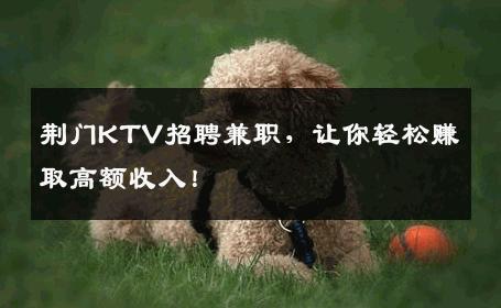 荆门KTV招聘兼职，让你轻松赚取高额收入！