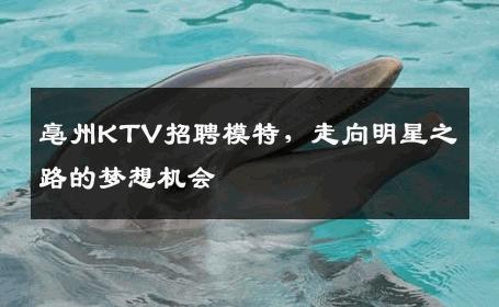 亳州KTV招聘模特，走向明星之路的梦想机会