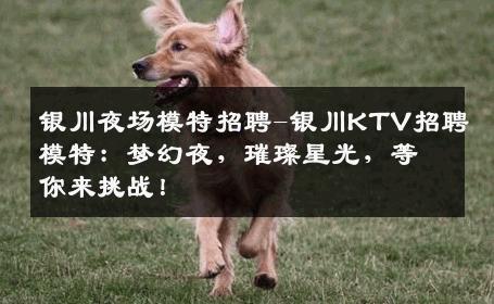 银川夜场模特招聘-银川KTV招聘模特：梦幻夜，璀璨星光，等你来挑战！
