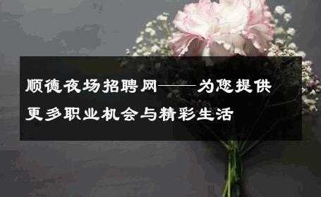 顺德夜场招聘网——为您提供更多职业机会与精彩生活