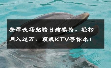鹰潭夜场招聘日结模特，轻松月入过万，顶级KTV等你来！