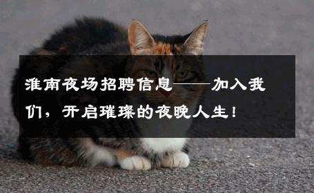 淮南夜场招聘信息——加入我们，开启璀璨的夜晚人生！
