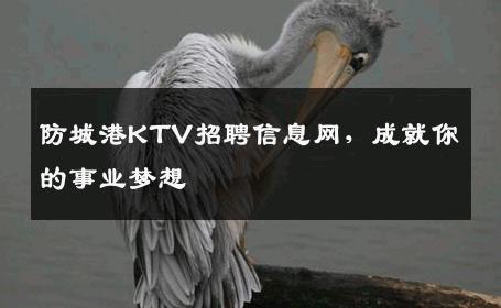 防城港KTV招聘信息网，成就你的事业梦想