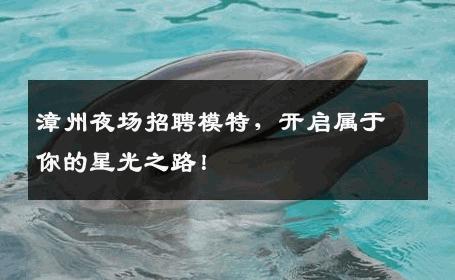 漳州夜场招聘模特，开启属于你的星光之路！