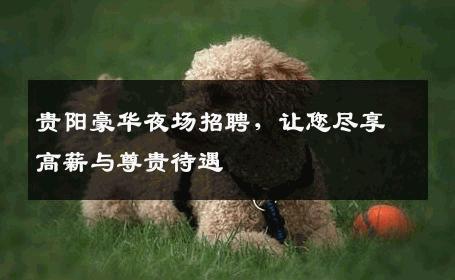 贵阳豪华夜场招聘，让您尽享高薪与尊贵待遇