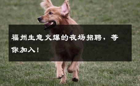 福州生意火爆的夜场招聘，等你加入！