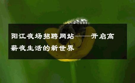 阳江夜场招聘网站——开启高薪夜生活的新世界
