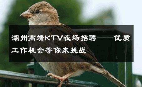 湖州高端KTV夜场招聘——优质工作机会等你来挑战