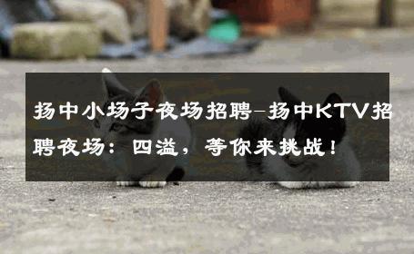 扬中小场子夜场招聘-扬中KTV招聘夜场：四溢，等你来挑战！