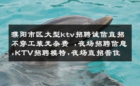 濮阳市区大型ktv招聘诚信直招不穿工装无杂费 ,夜场招聘信息,KTV招聘模特,夜场直招管住