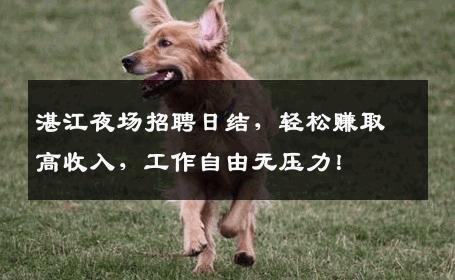 湛江夜场招聘日结，轻松赚取高收入，工作自由无压力！