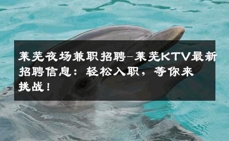 莱芜夜场兼职招聘-莱芜KTV最新招聘信息：轻松入职，等你来挑战！