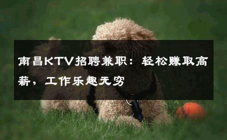 南昌KTV招聘兼职：轻松赚取高薪，工作乐趣无穷