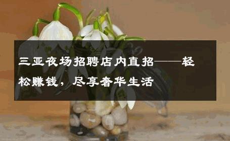 三亚夜场招聘店内直招——轻松赚钱，尽享奢华生活