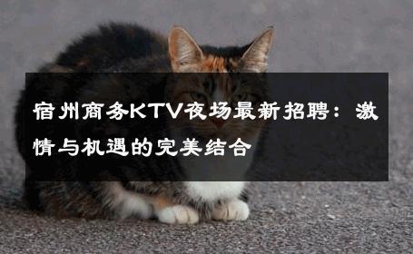 宿州商务KTV夜场最新招聘：激情与机遇的完美结合