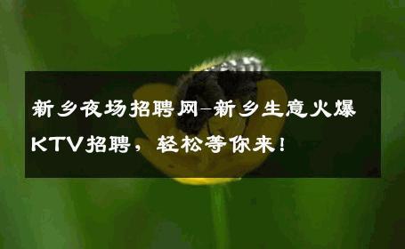 新乡夜场招聘网-新乡生意火爆KTV招聘，轻松等你来！