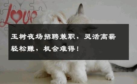 玉树夜场招聘兼职，灵活高薪轻松赚，机会难得！
