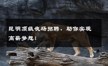 昆明顶级夜场招聘，助你实现高薪梦想！