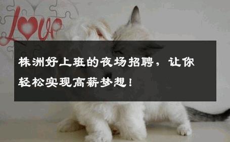 株洲好上班的夜场招聘，让你轻松实现高薪梦想！