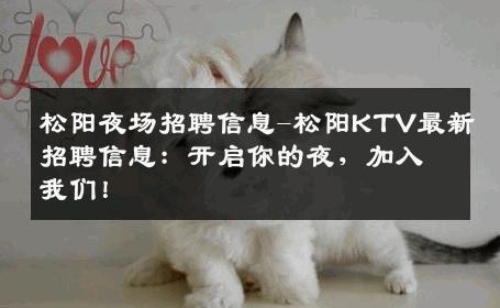 松阳夜场招聘信息-松阳KTV最新招聘信息：开启你的夜，加入我们！