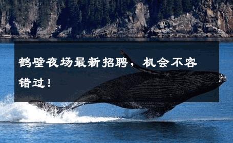 鹤壁夜场最新招聘，机会不容错过！