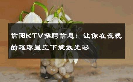 信阳KTV招聘信息：让你在夜晚的璀璨星空下绽放光彩