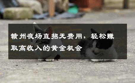 赣州夜场直招无费用，轻松赚取高收入的黄金机会