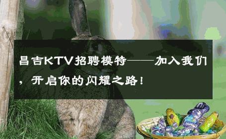 昌吉KTV招聘模特——加入我们，开启你的闪耀之路！
