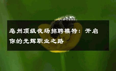 亳州顶级夜场招聘模特：开启你的光辉职业之路
