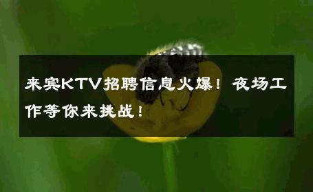 来宾KTV招聘信息火爆！夜场工作等你来挑战！